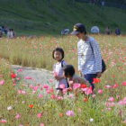 子どもとおでかけ