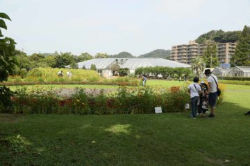 日比谷花壇大船フラワーセンター