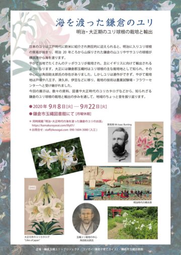 海を渡った鎌倉のユリ展覧会チラシ