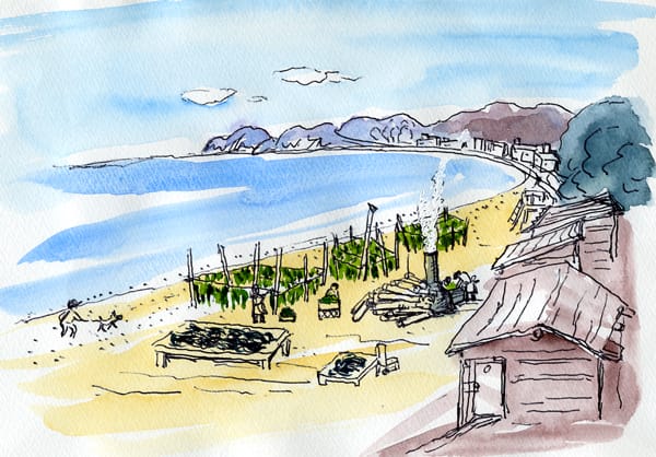 鎌倉ワカメ干し